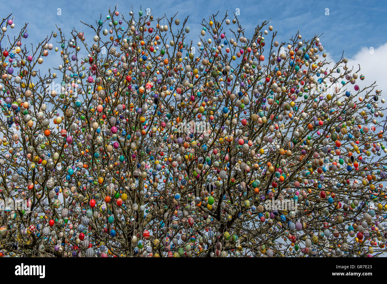 Easter Eggs Tree Stock Photo