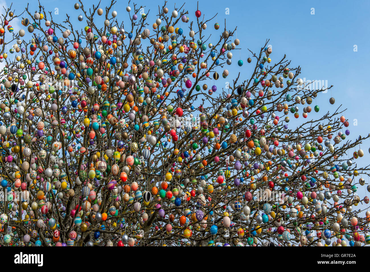 Eggs Tree Stock Photo Alamy