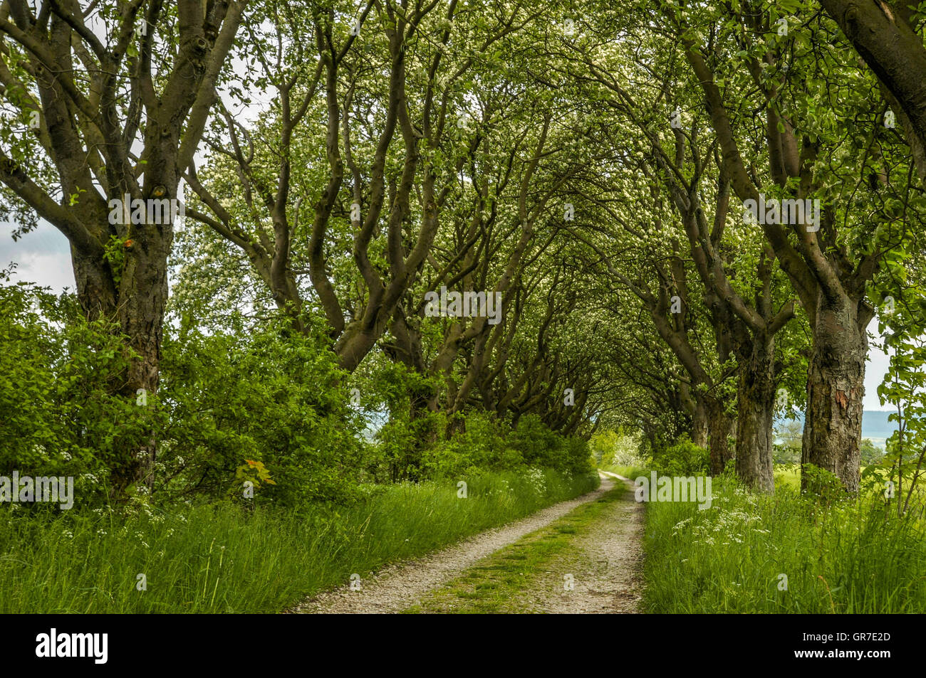 Berry avenue hires stock photography and images Alamy