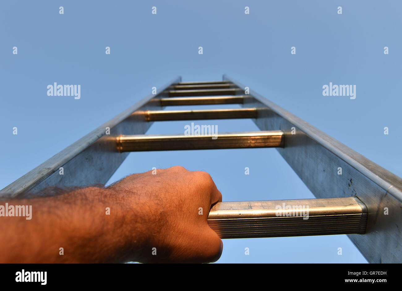 Ladder Of Success Stock Photo