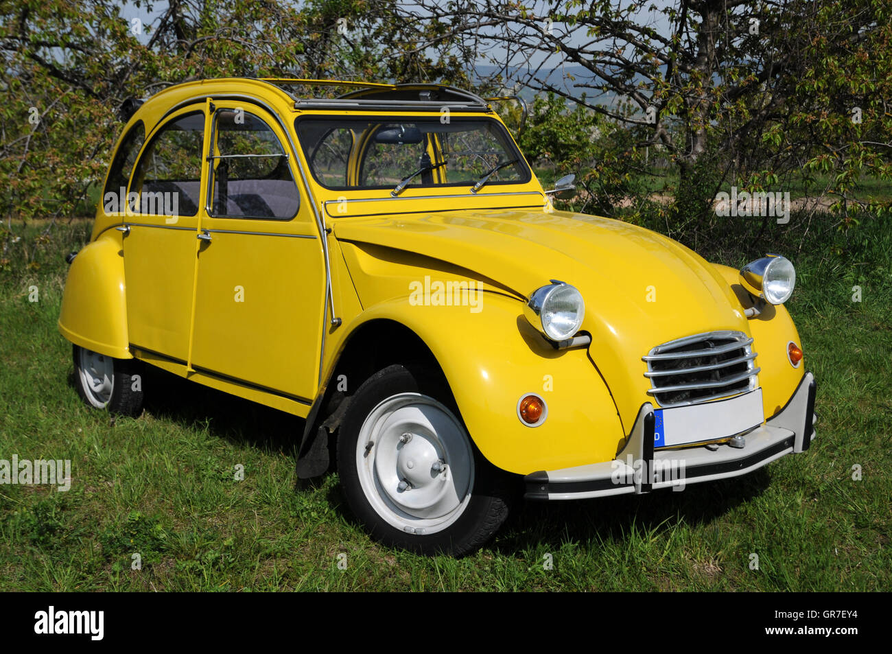 Duck 2Cv Stock Photo 117564696 Alamy