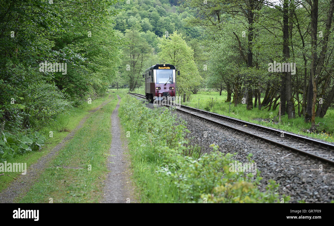 Railcar In The Forest Stock Photo