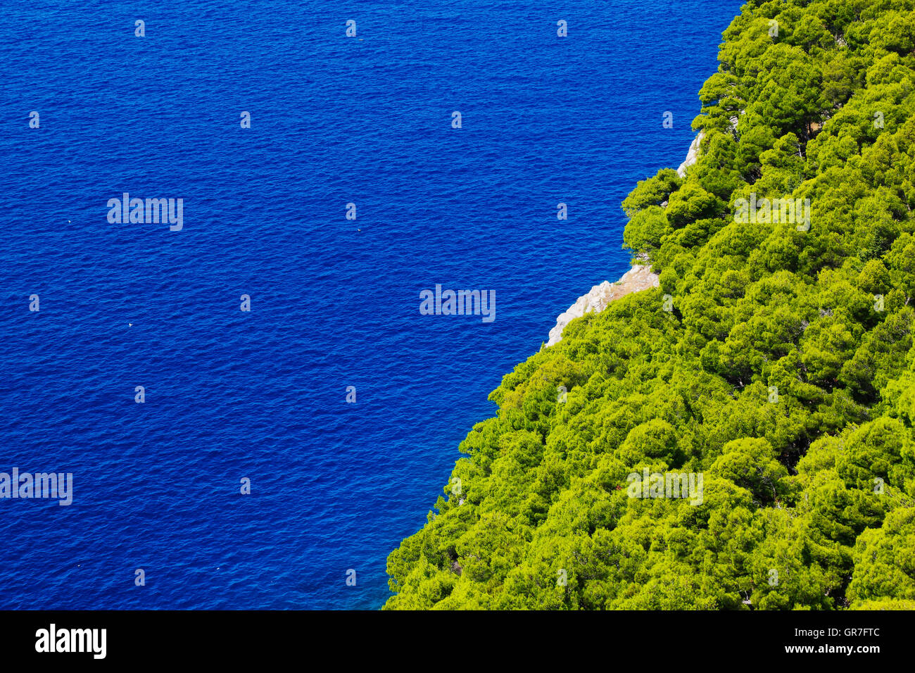 Nature background, blue sea and green pine forest Stock Photo