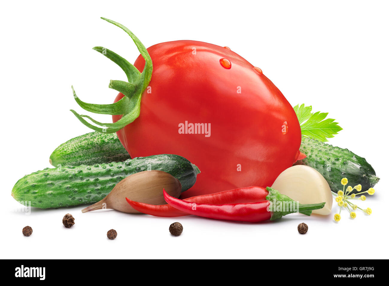 Gherkins (tiny cucumbers or cornichons) with oblong tomato for pickling or canning. Clipping path, shadow separated. Design elem Stock Photo