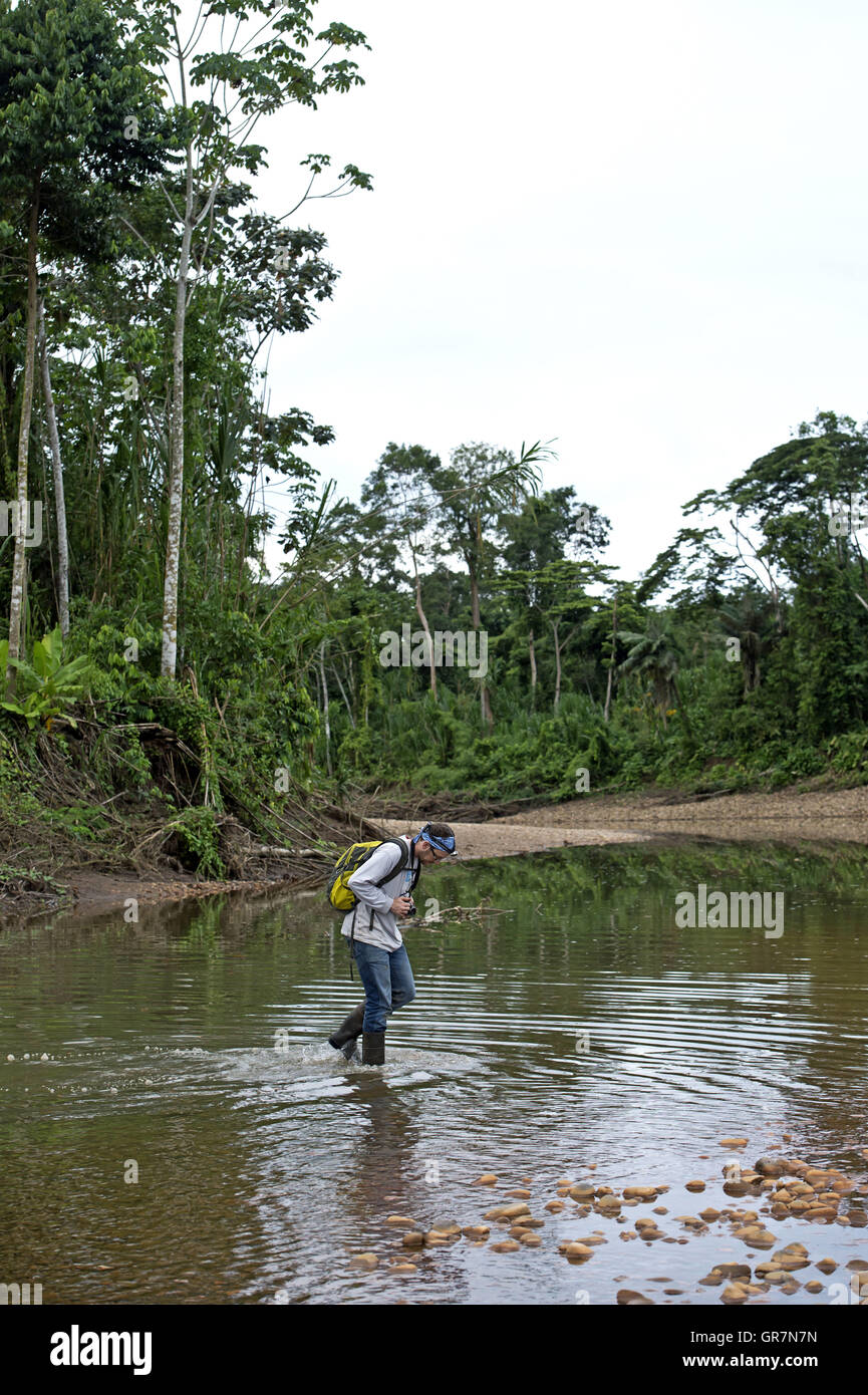 Scientist Examining Flooded Areas At The River Side Of Tambopata River, Peru Stock Photo