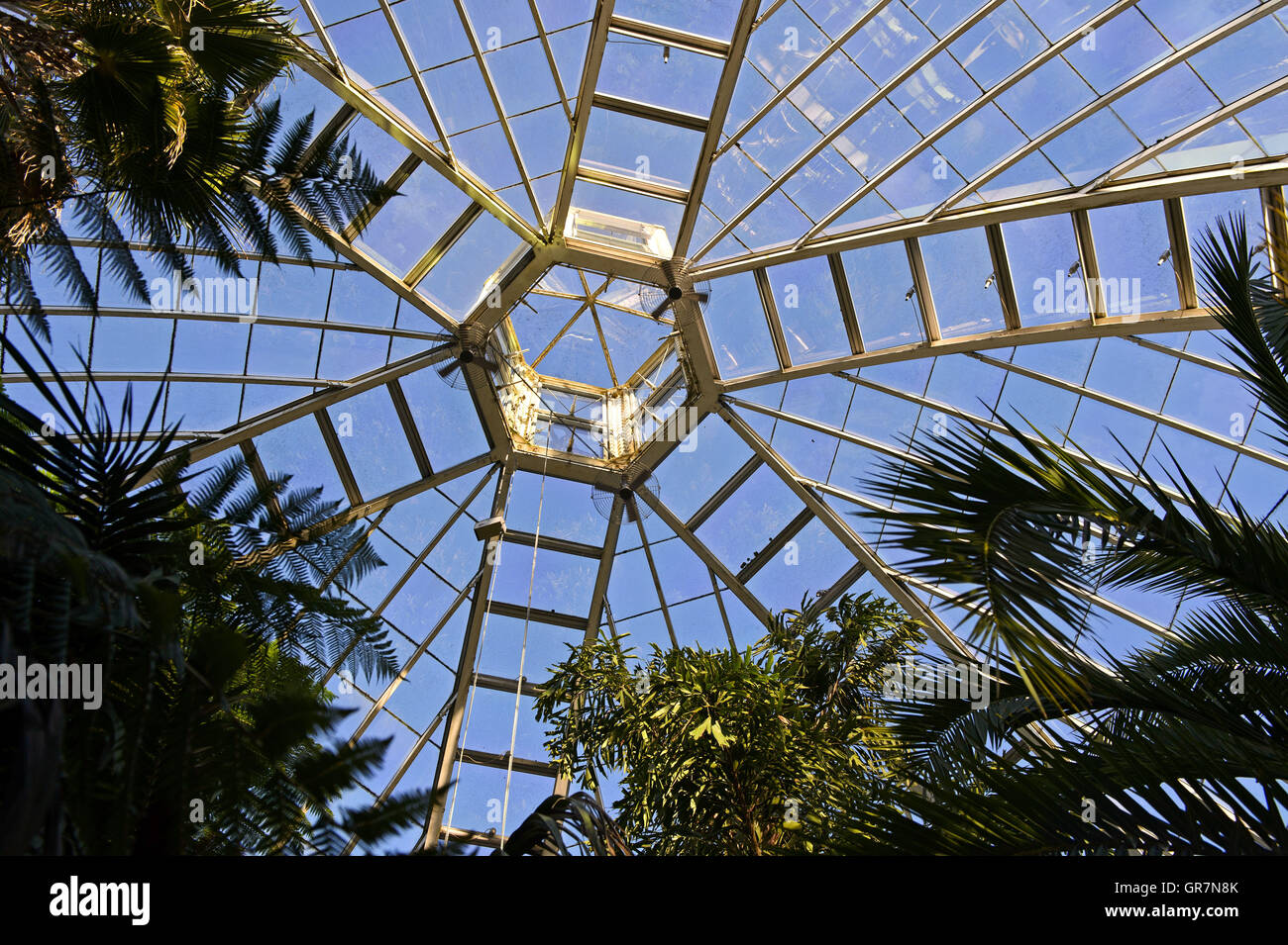 Glass Dome Of A Greenhouse, Botanical Garden Geneva, Switzerland Stock Photo