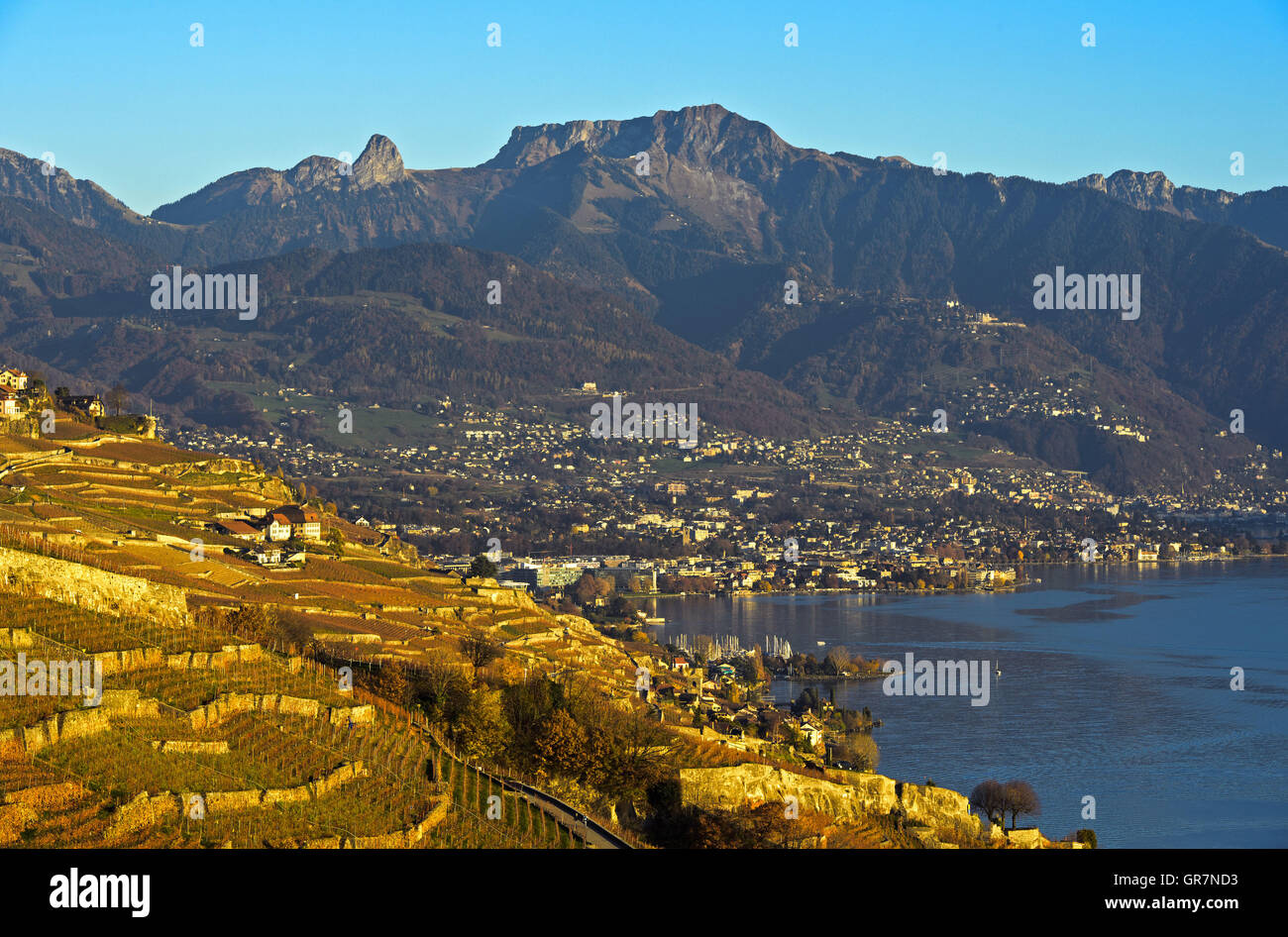 Autumn At The Riviera Vaudoise, View At Lavaux Vineyards And Vevey, Switzerland Stock Photo