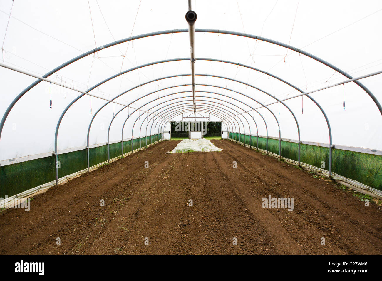 Poly tunnel or artifical green house on afarm growing crops that reauire hot temperatures. Stock Photo