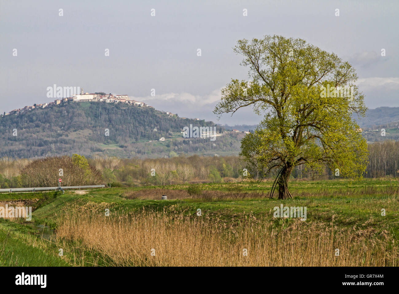 The Small Medieval Town Of Motovun Is Perched On A 280 M High Hilltop In Mirnatal Stock Photo