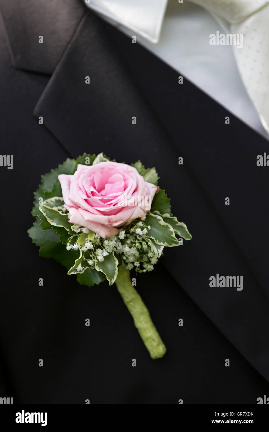 Ein Unverzichtbares Accessoire Jedes Bräutigams - Wedding Buttons - An Essential Accessory Of The Groom Stock Photo