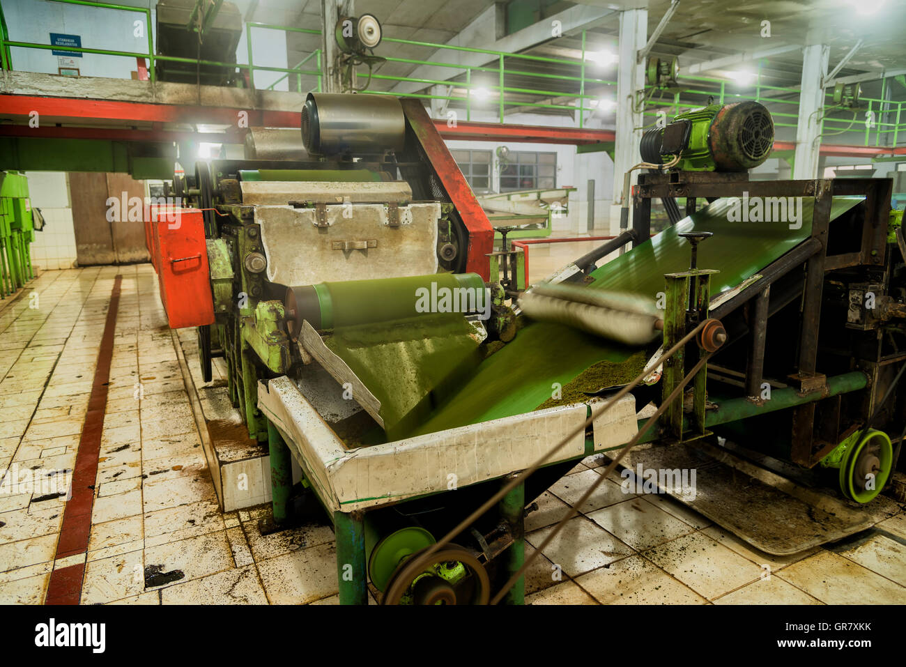 Factory with conveyor blet for processing green tea, Java, Indonesia Stock Photo
