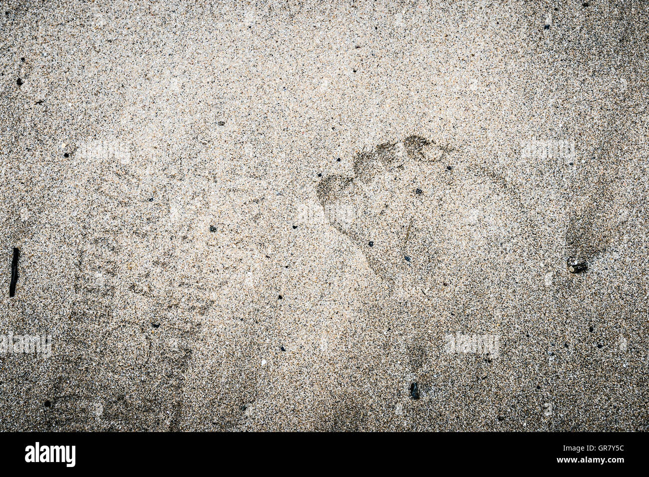 Impression Of Two Feet In The Sand. Stock Photo