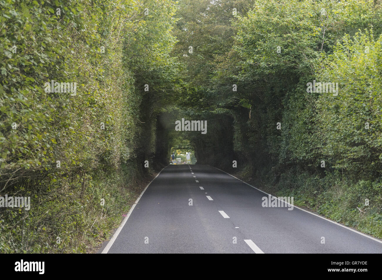 A Tree-Lined All In A Square Shape Stock Photo - Alamy