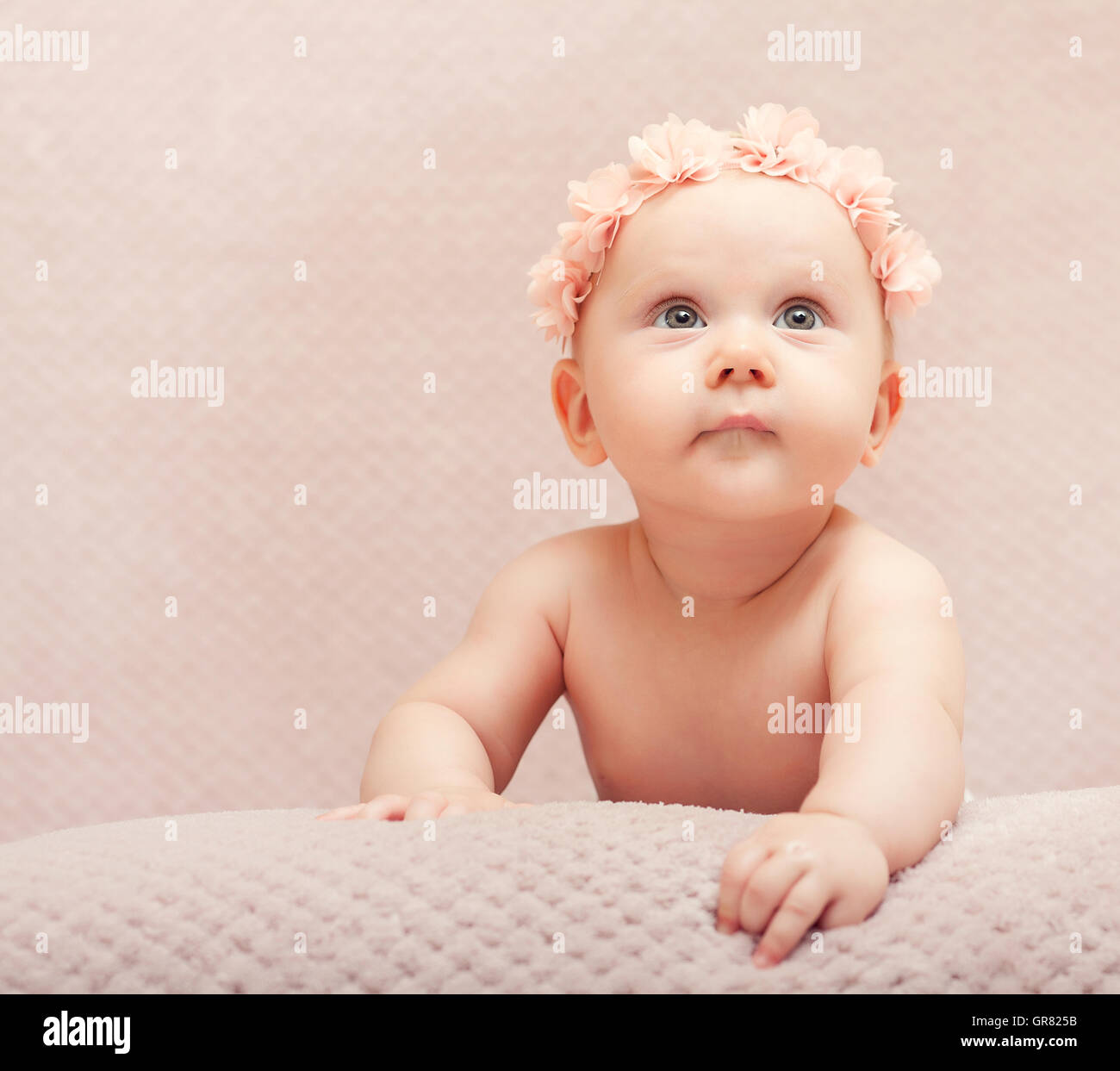 portrait newborn flower pink cute child kid adorable little female woolen hat fine-art baby feminine costume infant innocence ca Stock Photo