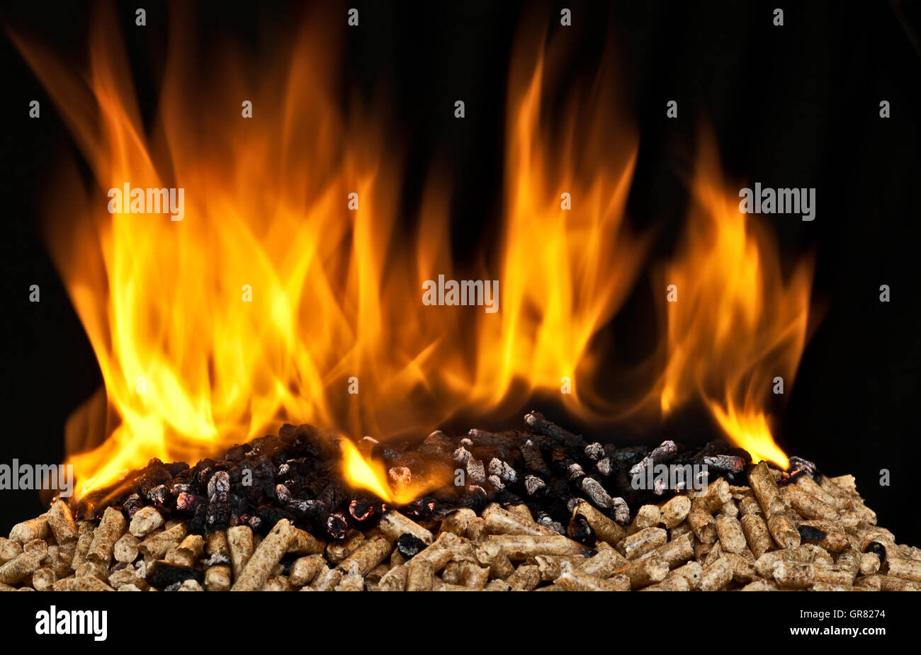 burning wood pellet with flame Stock Photo