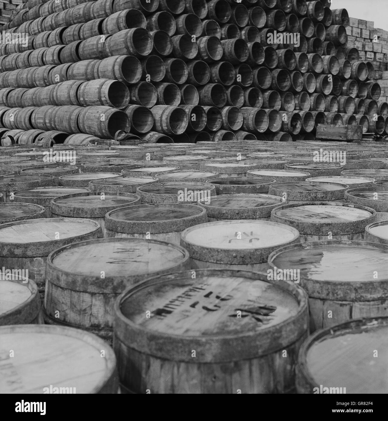 Herring barrel hires stock photography and images Alamy