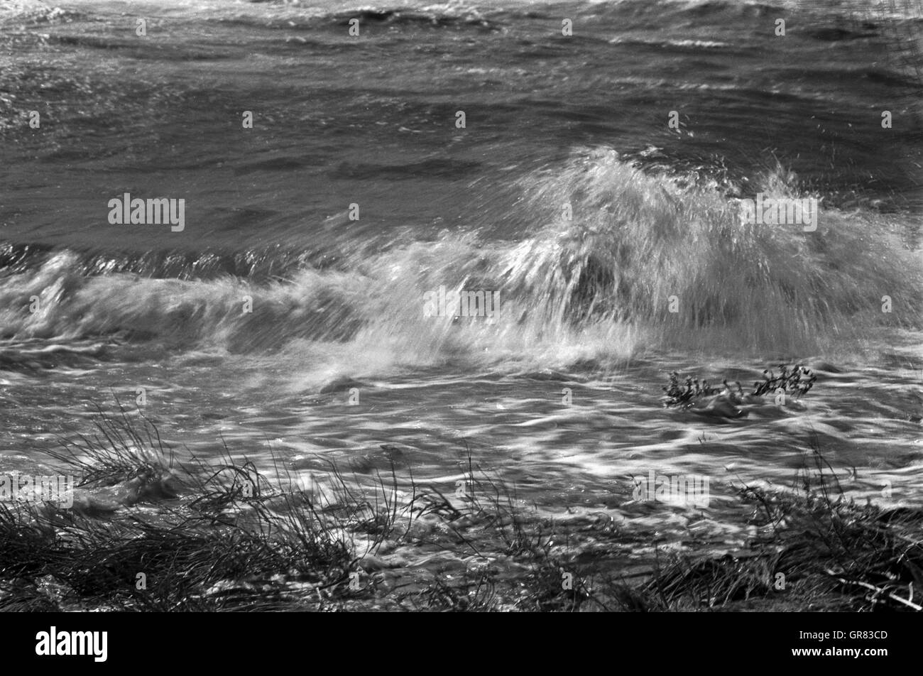 Storm Wave Bw Stock Photo