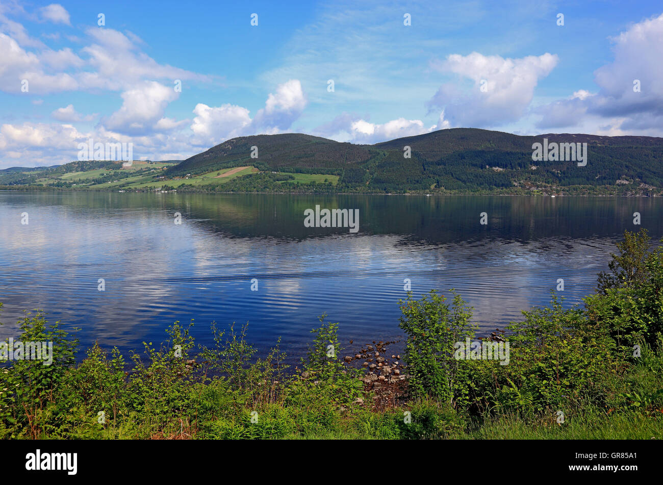 Scotland, highlands, scenery in the Loch Ness Stock Photo - Alamy