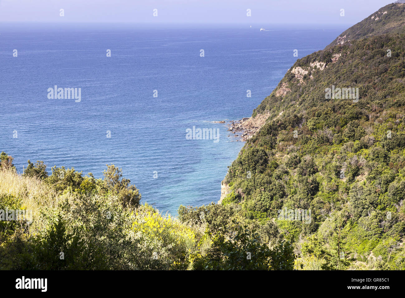Mediterranean Coast Near Bagnaia, Elba Island, Italy, Europe Stock