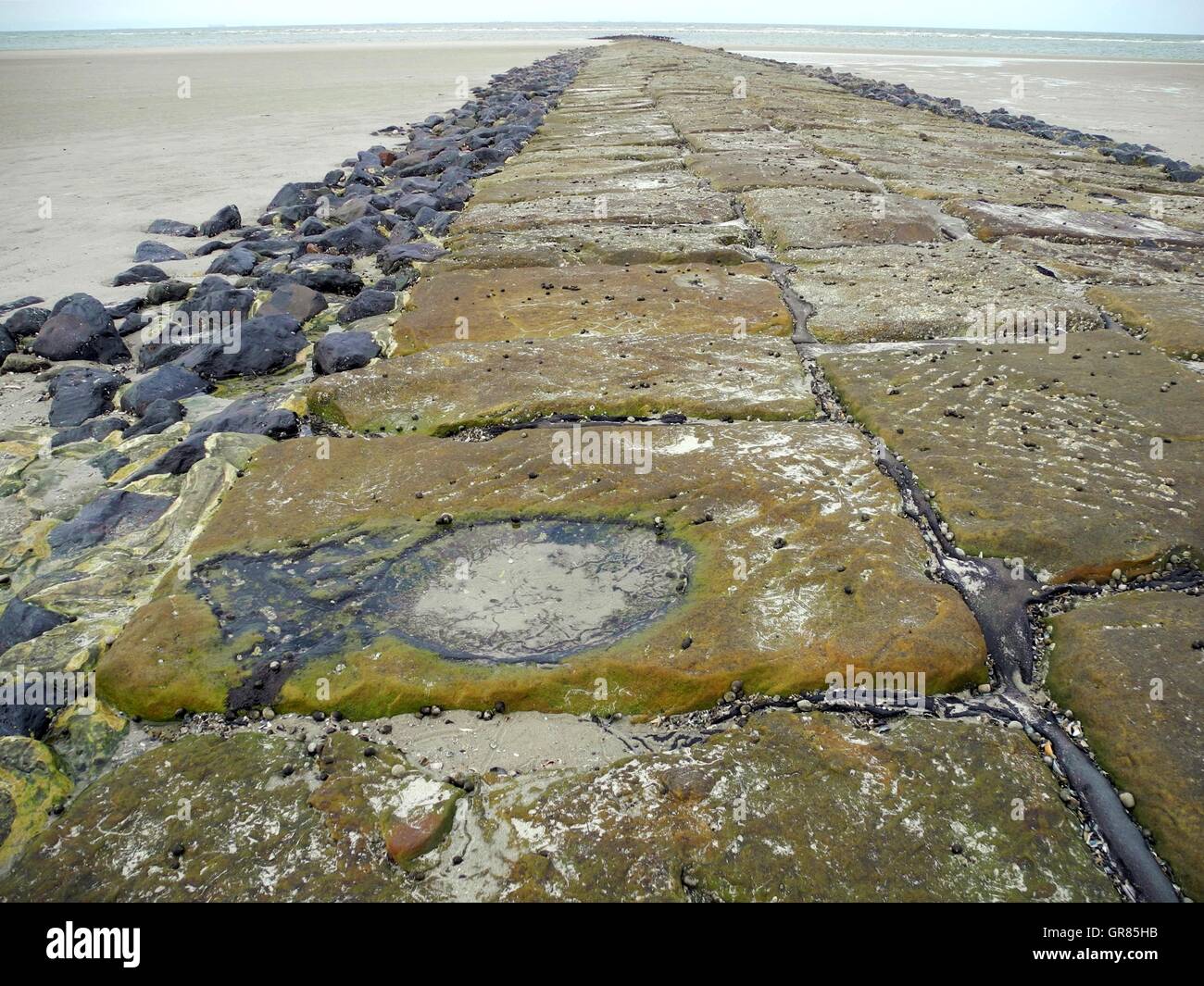 Spur Dyke At Wangerooge Beach, Lower Saxony, Germany Stock Photo