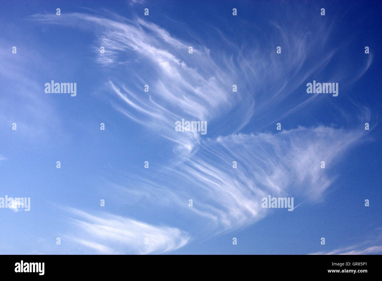 Angel Wings Stock Photo