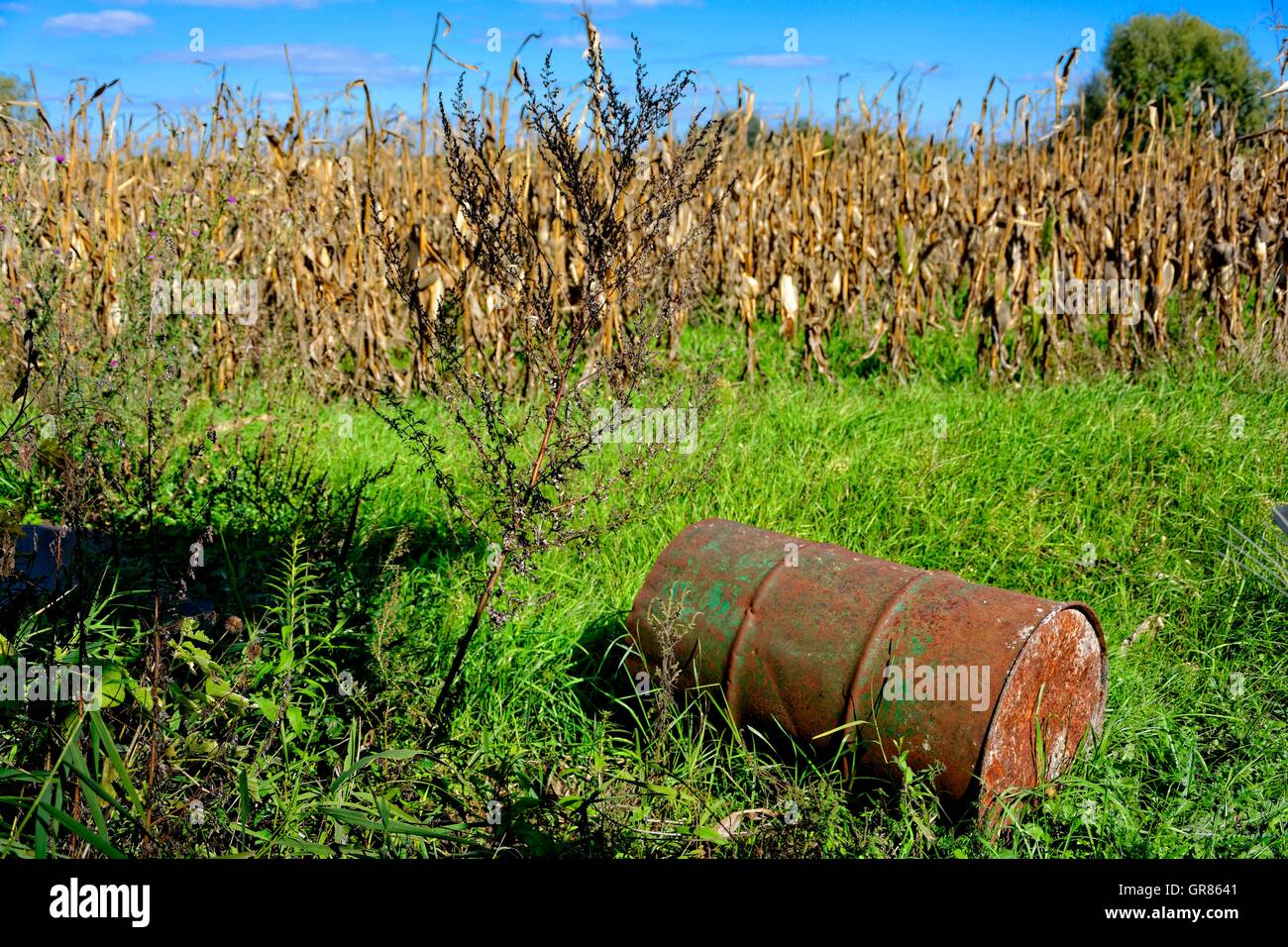 Environmental Pollution, Rusty Ton In The Grass Stock Photo