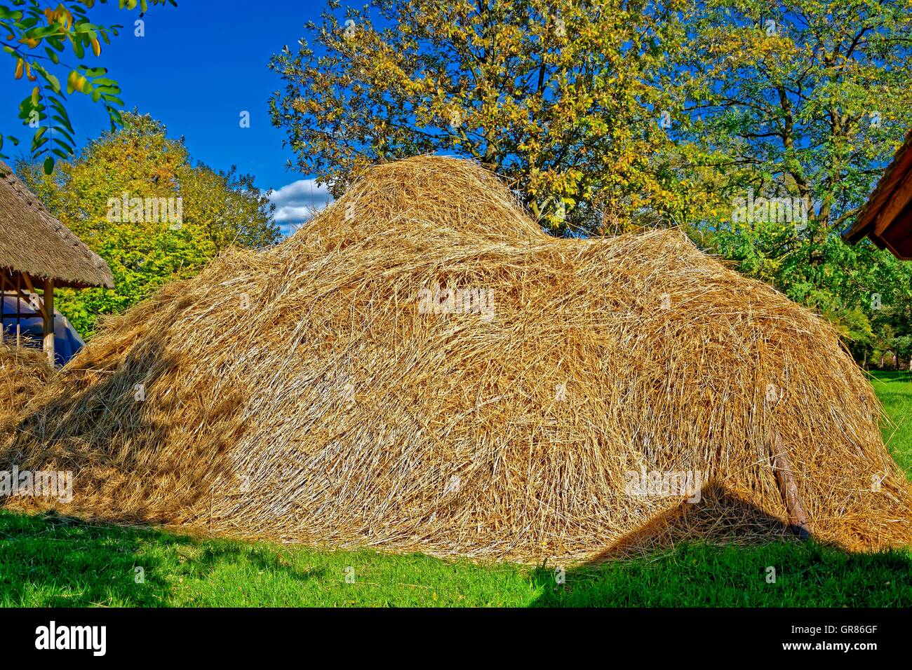 Heap Of Straw For Thatching Stock Photo Alamy