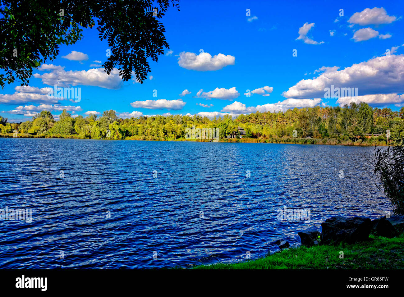 Pond Landscape With Water, Forests And The Blue Sky Stock Photo - Alamy