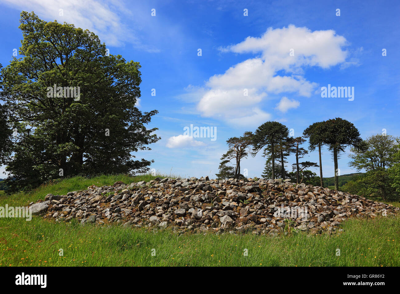 Scotland, Kilmartin Glen, Dunchraigaig, bronze Age Cairn, tumulus Stock Photo
