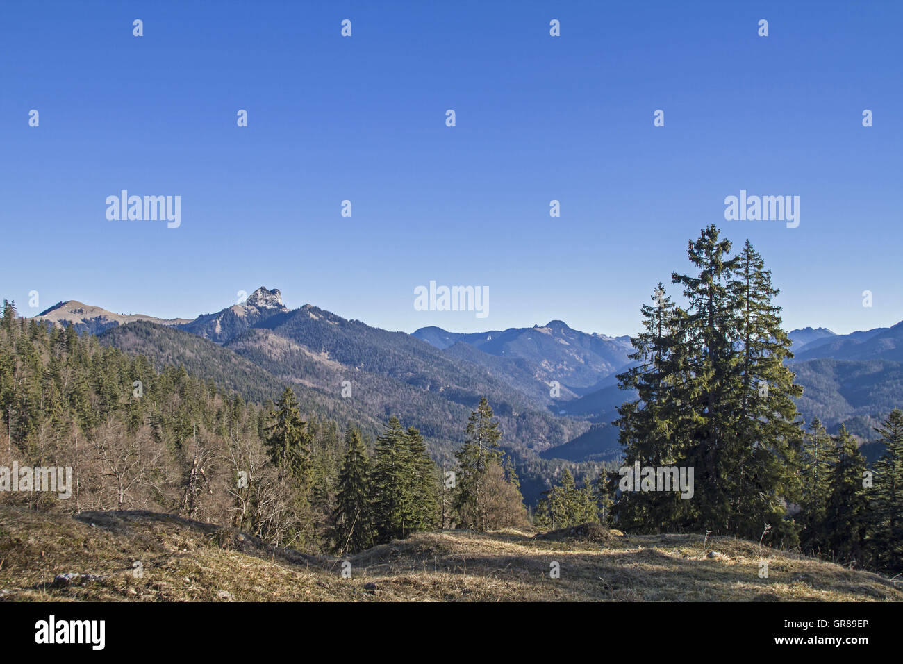 Landscape In The Bavarian Alps Near Lenggries Stock Photo