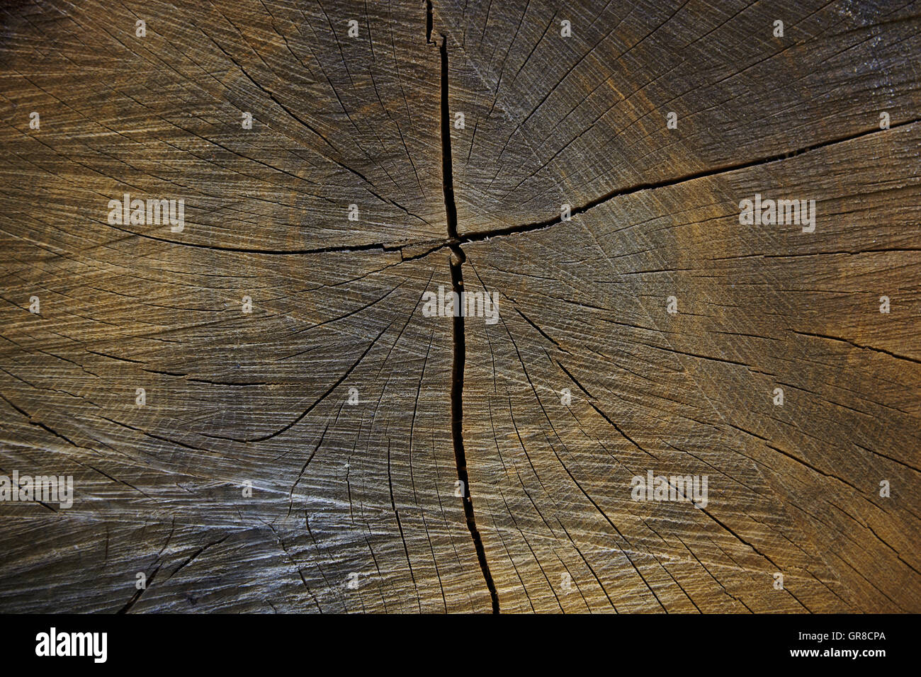 Tree Trunk With Annual Rings As Background Stock Photo