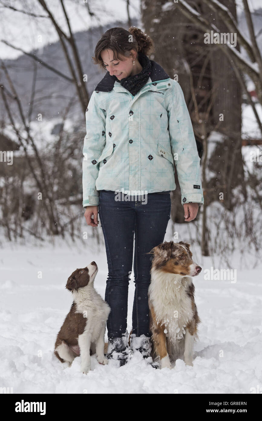 Winter Walk With A Border Collie Puppy And An Australian Shepardhundes With Her Owner Stock Photo