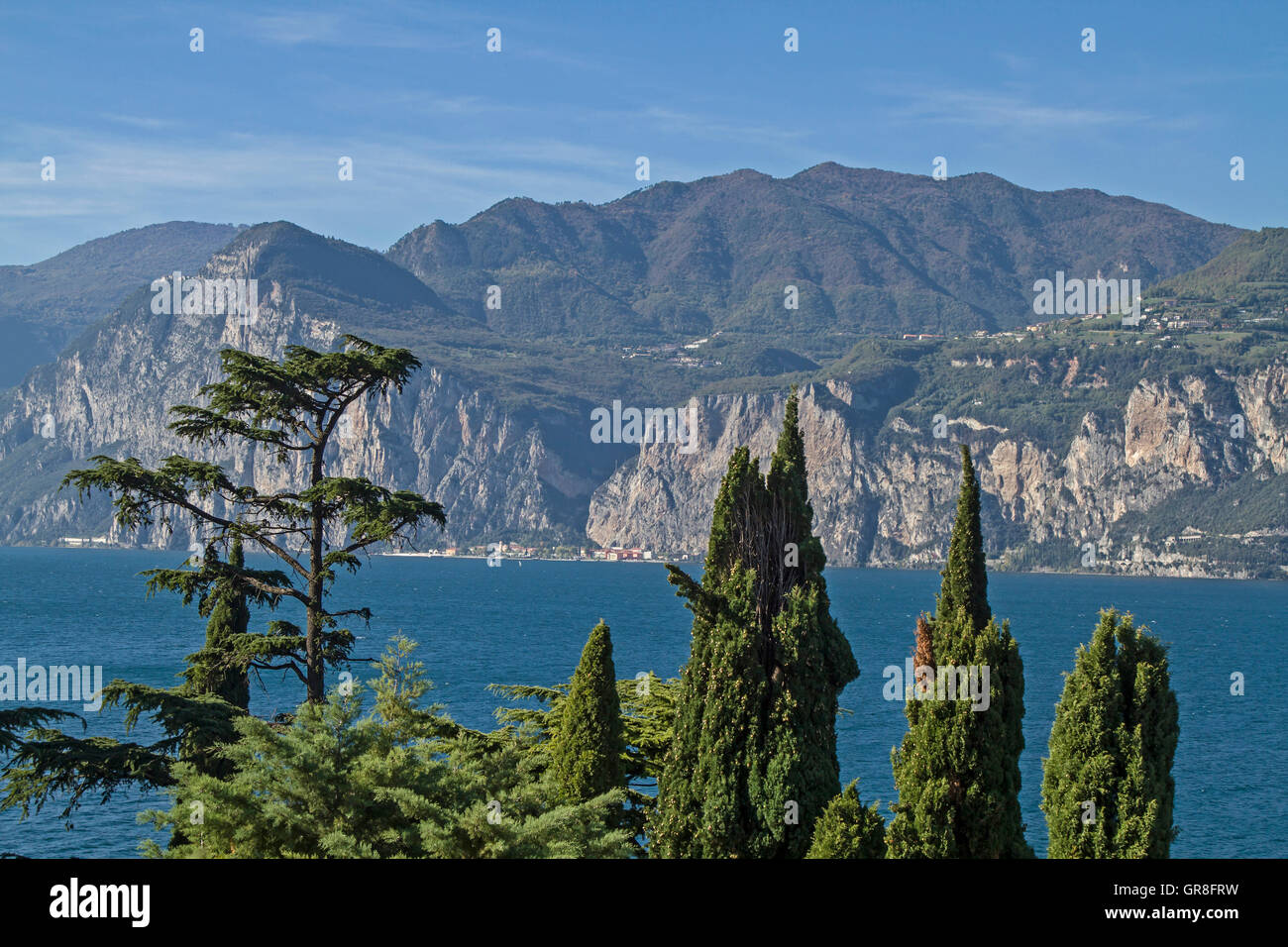 Mediterranean Vegetation On Lake Garda Stock Photo