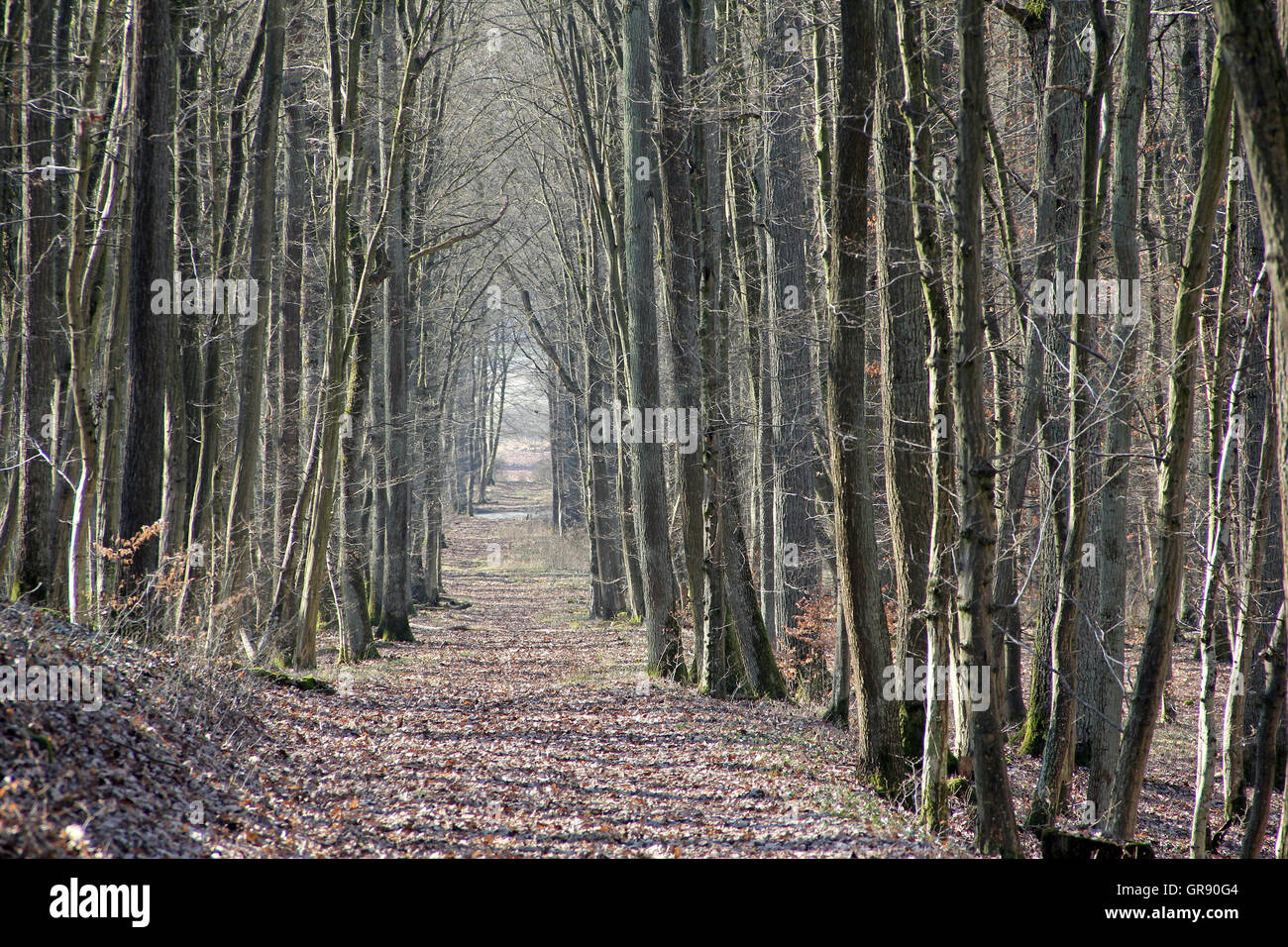 Road March Stock Photos & Road March Stock Images Alamy