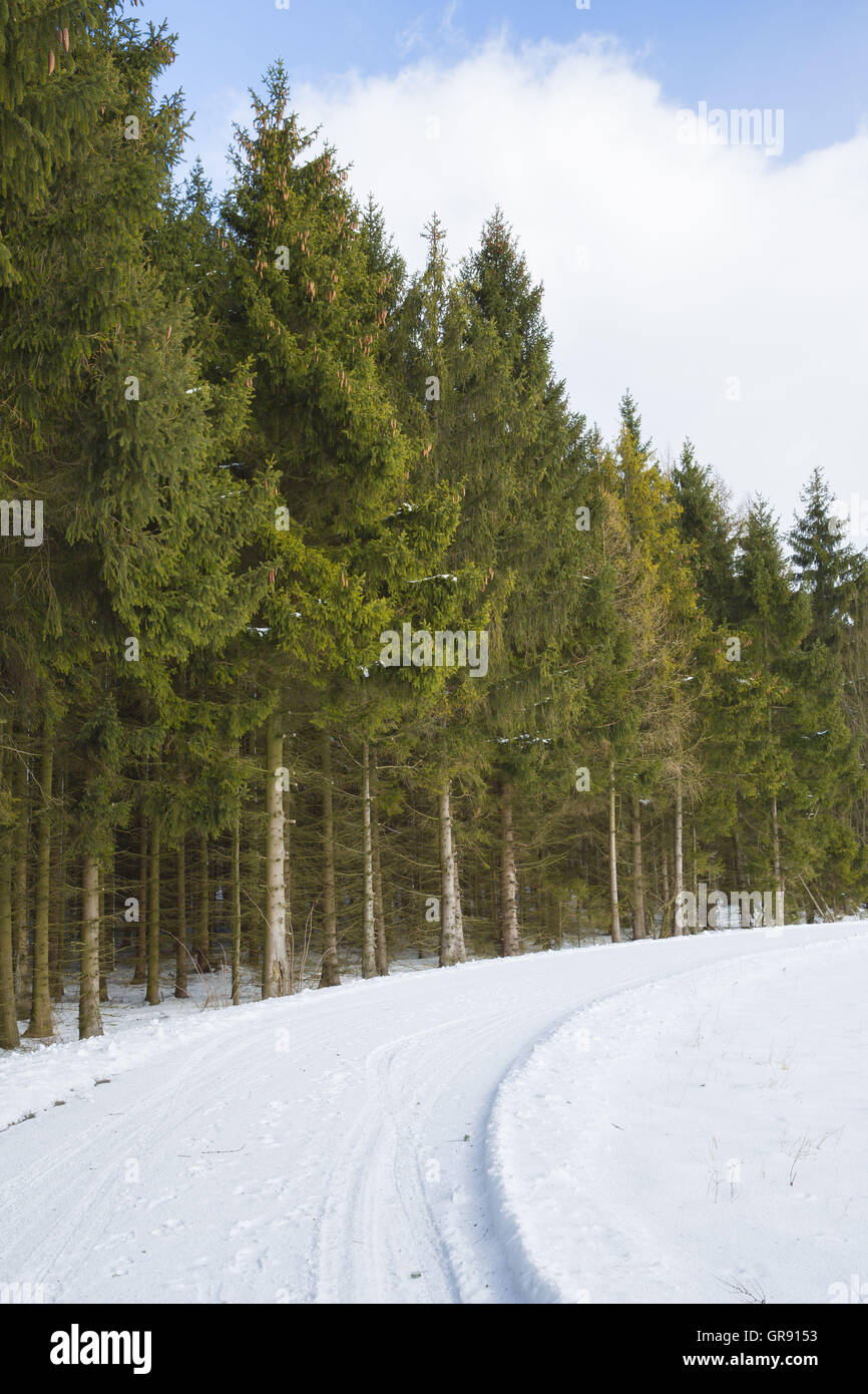 Snowy Road In The Franconian Forest, Bavaria, Germany Stock Photo