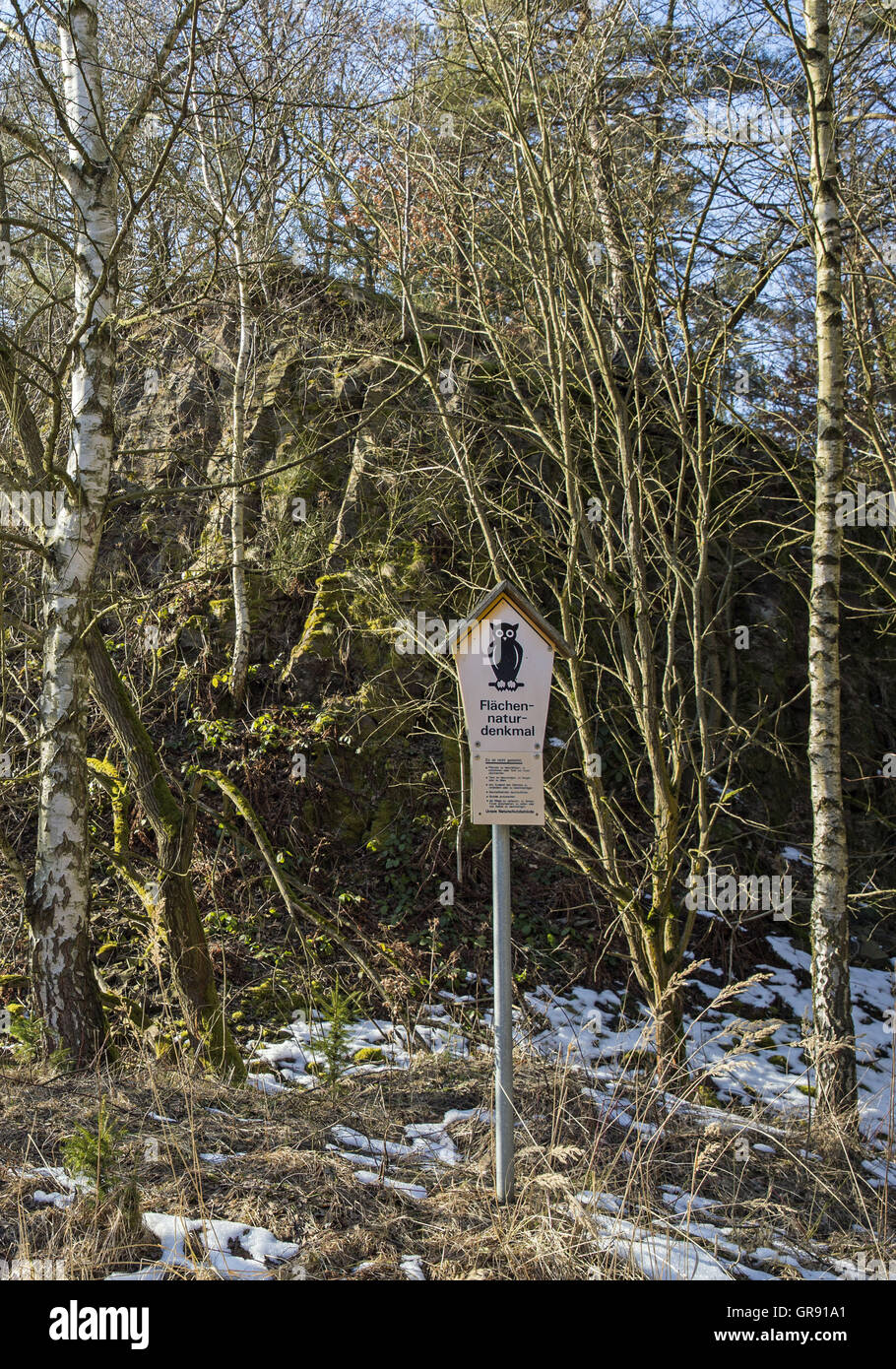Forest Area With Protective Surface Natural Monument In Winter With Snow Residues Stock Photo