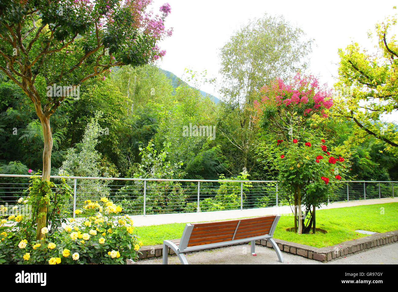 Gardens With Flowering Trees, Roses And A Bench Stock Photo