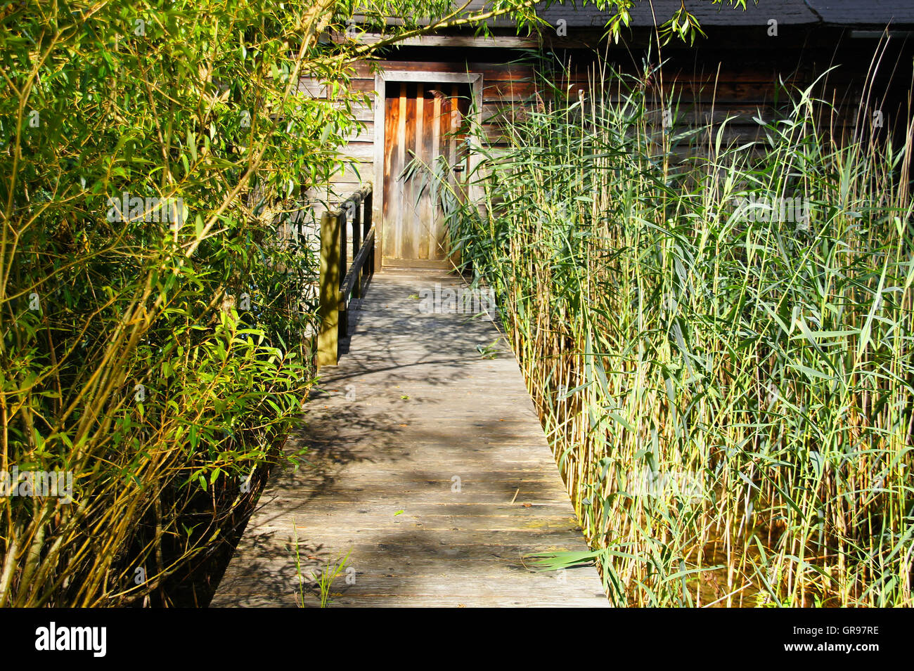 Overgrown Door To A Wooden Hut With Thatched Web Almost Stock Photo - Alamy