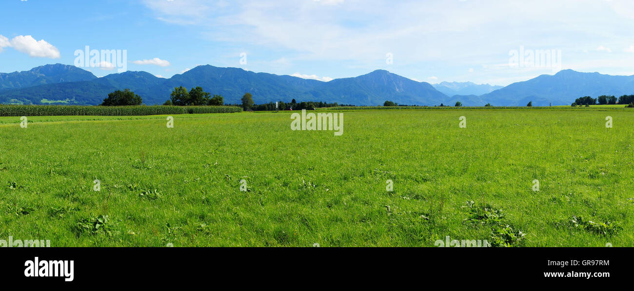 Mountains And Green Meadow In East Allgaeu Near Penzberg Stock Photo