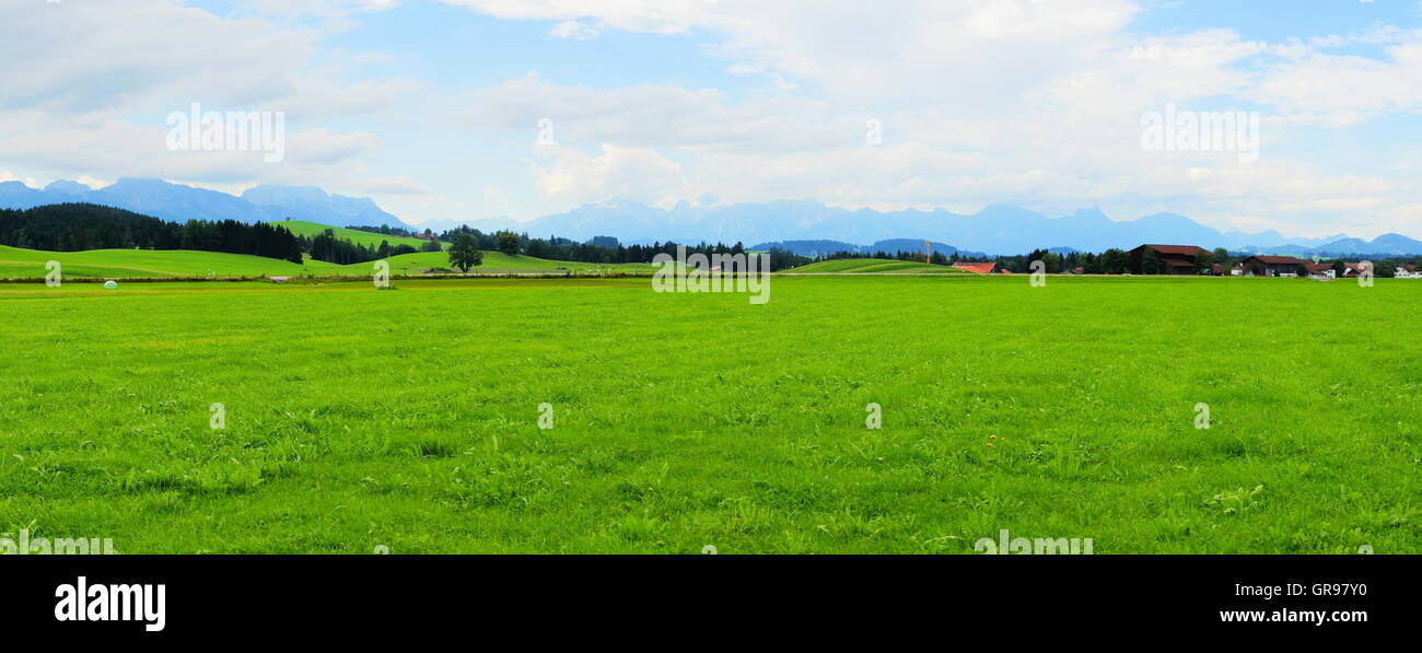 Forest And Green Meadows Panorama Near Buching In The Allgaeu Stock Photo