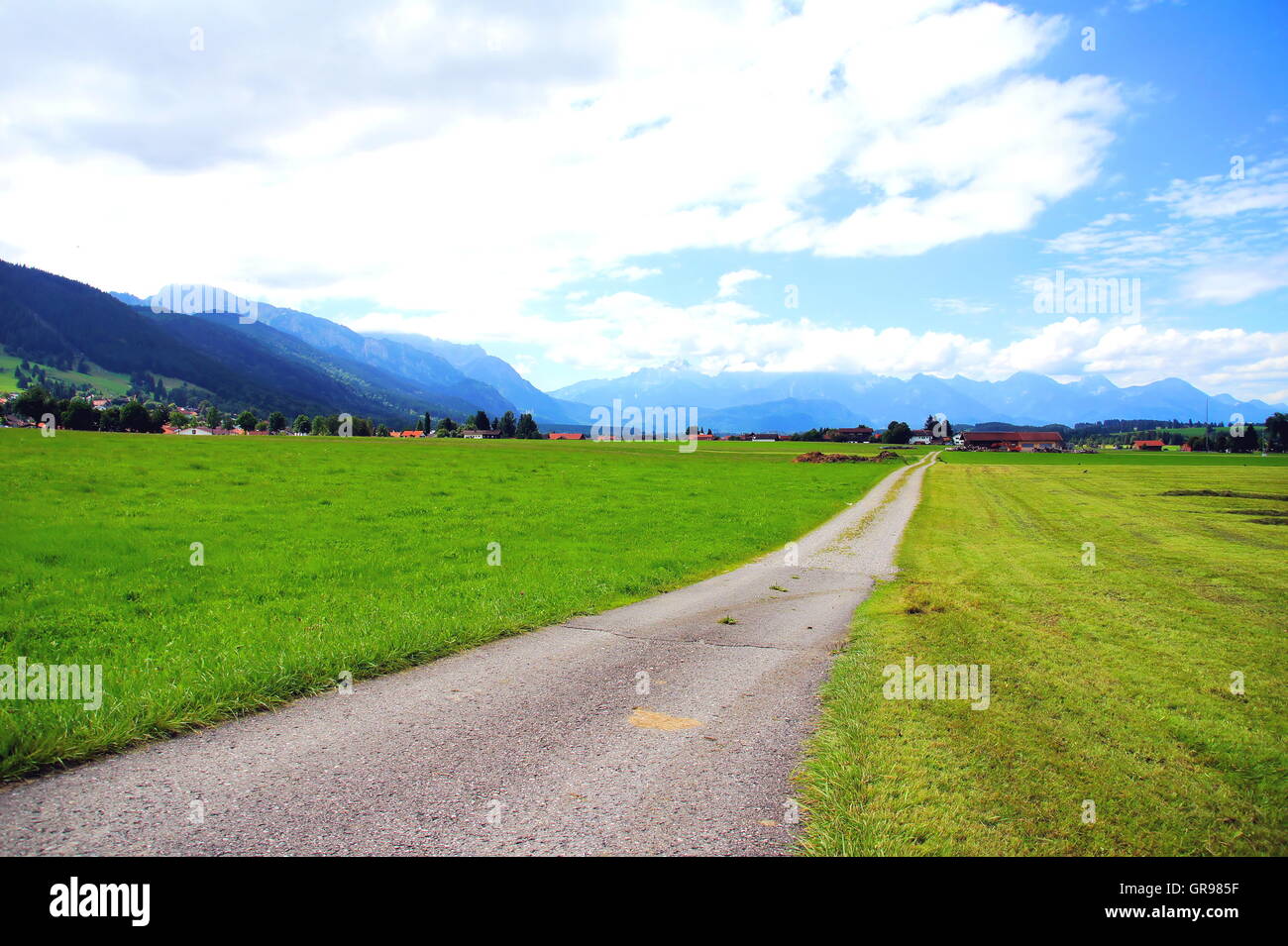 Landscape With Lane Near Buching In The East Allgaeu Stock Photo