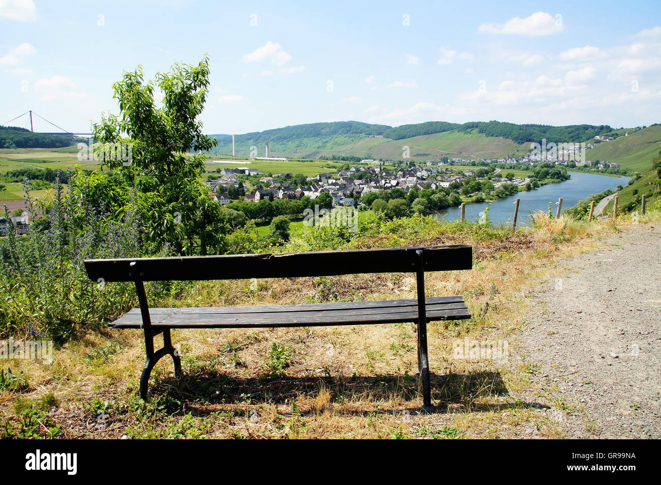 Bench with a view summer hi-res stock photography and images - Alamy