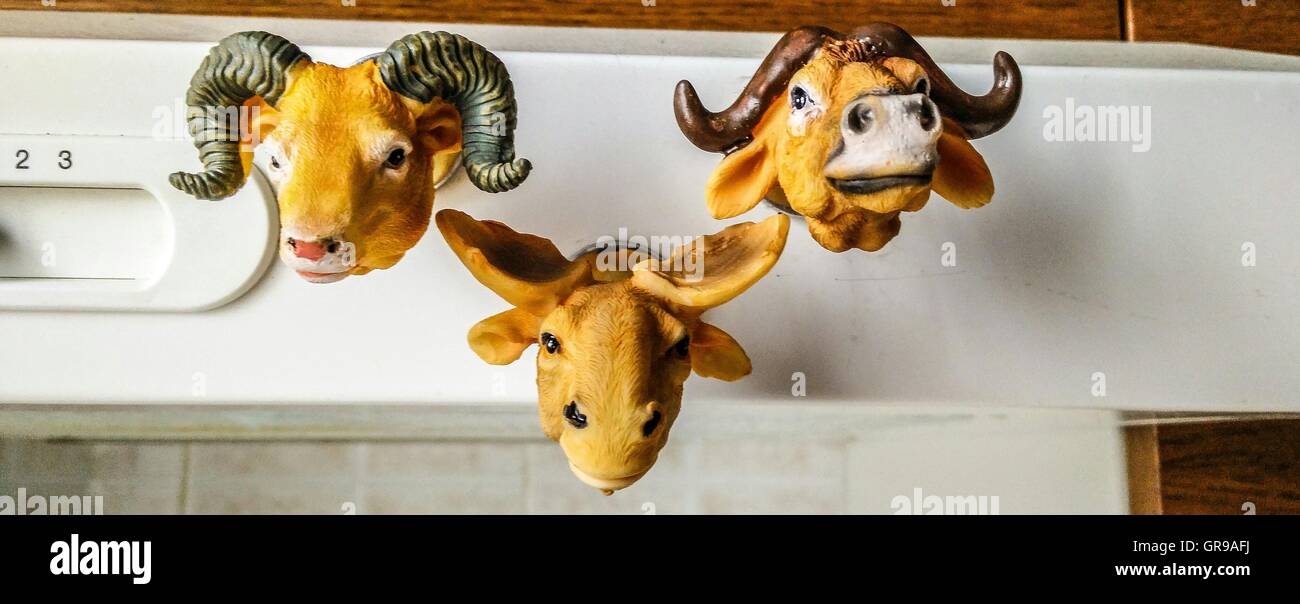 Close-Up Of Artificial Animal Heads On Wall Stock Photo - Alamy