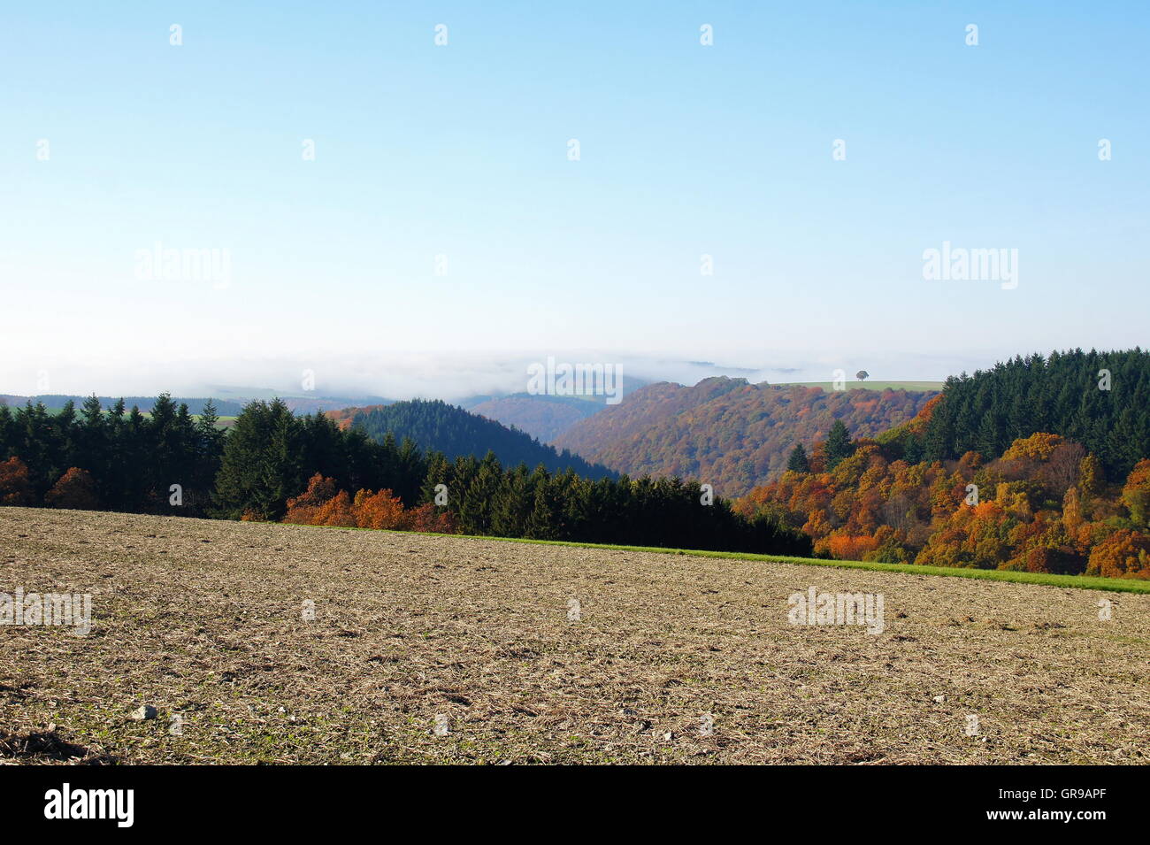 View From The Hunsrück In Side Valleys Of The Moselle In Traben-Trarbach Stock Photo