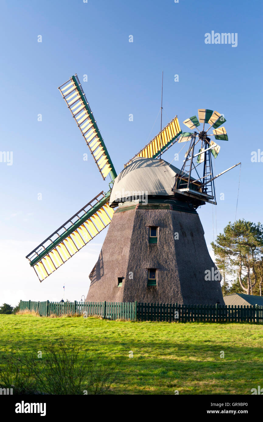 Windmill On Amrum Island Stock Photo
