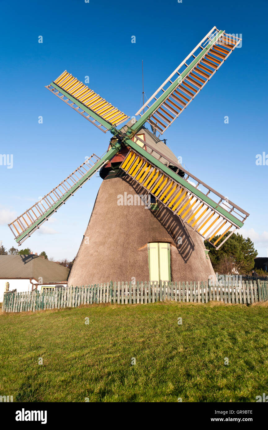 Windmill On Amrum Island Stock Photo