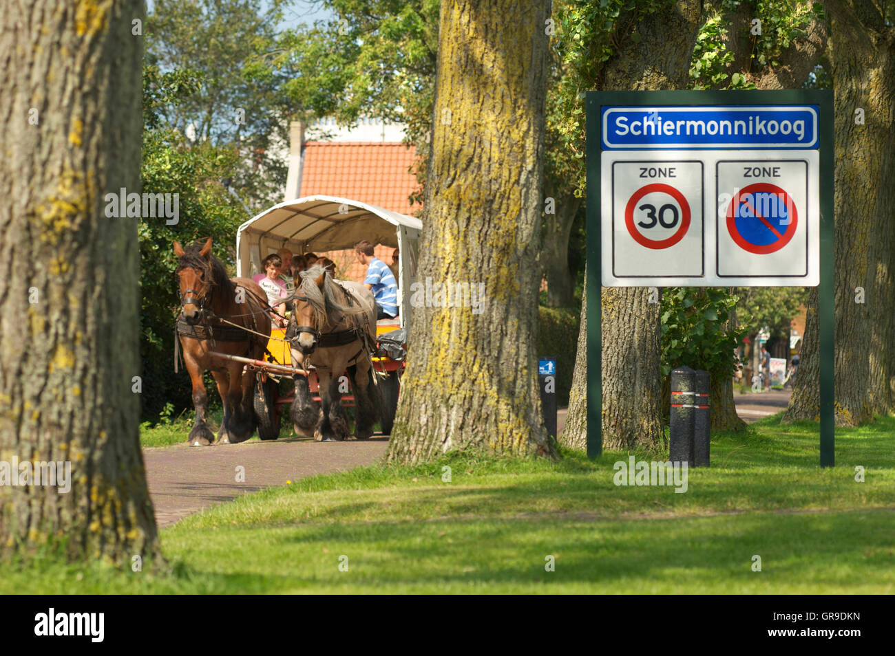 People celebrating together in a carriage with horses leaving the village of Schiermonnikoog on the island of Schiermonnikoog, the Netherlands Stock Photo