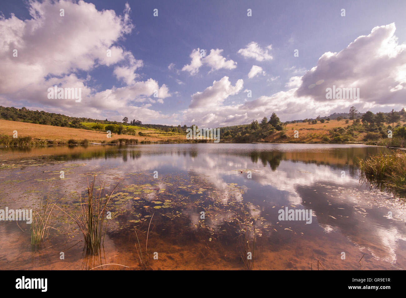 Lake at Mufindi Highland Lodge Stock Photo