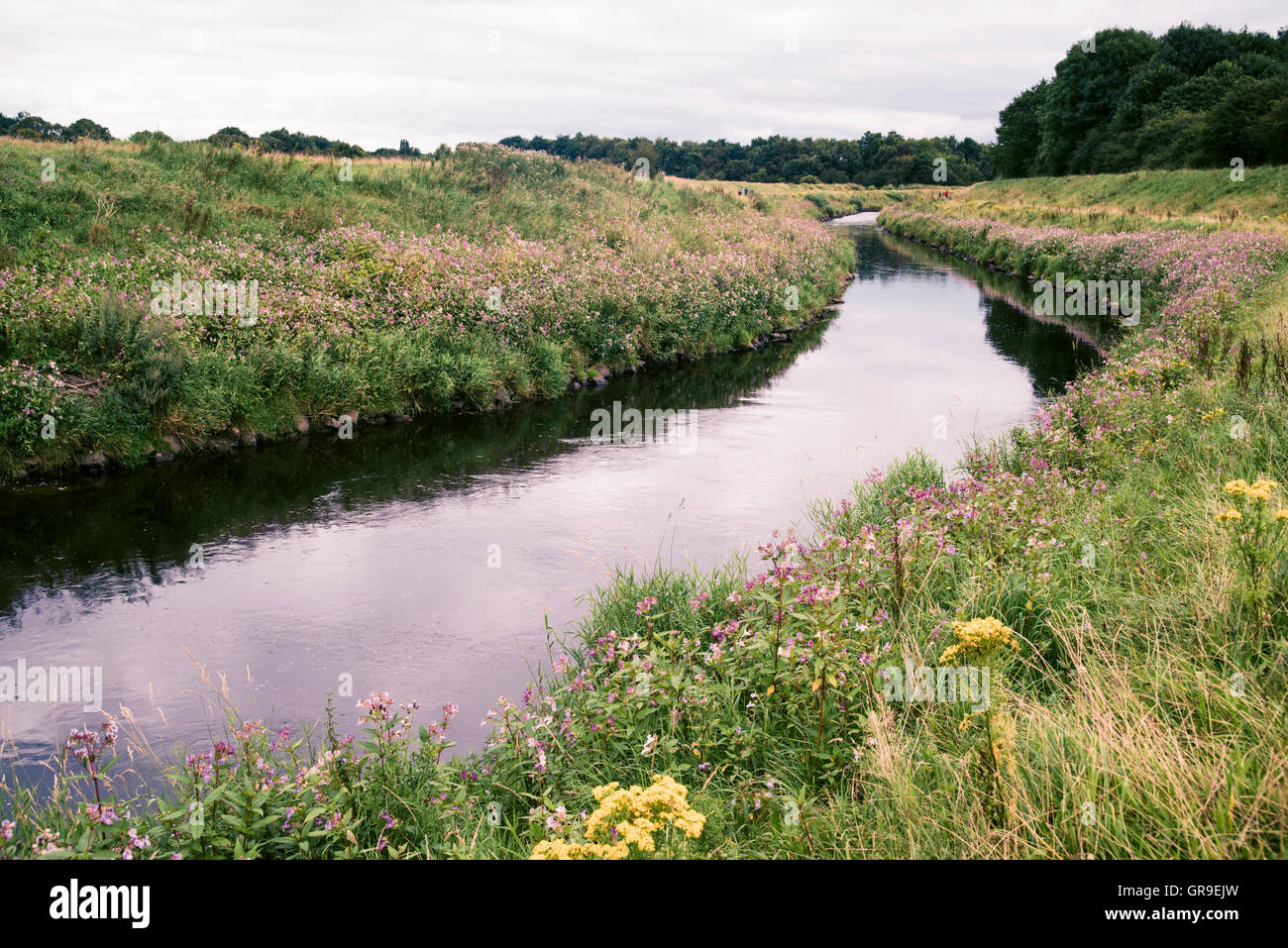 River Mersey running through Sale, Cheshire, England Stock Photo