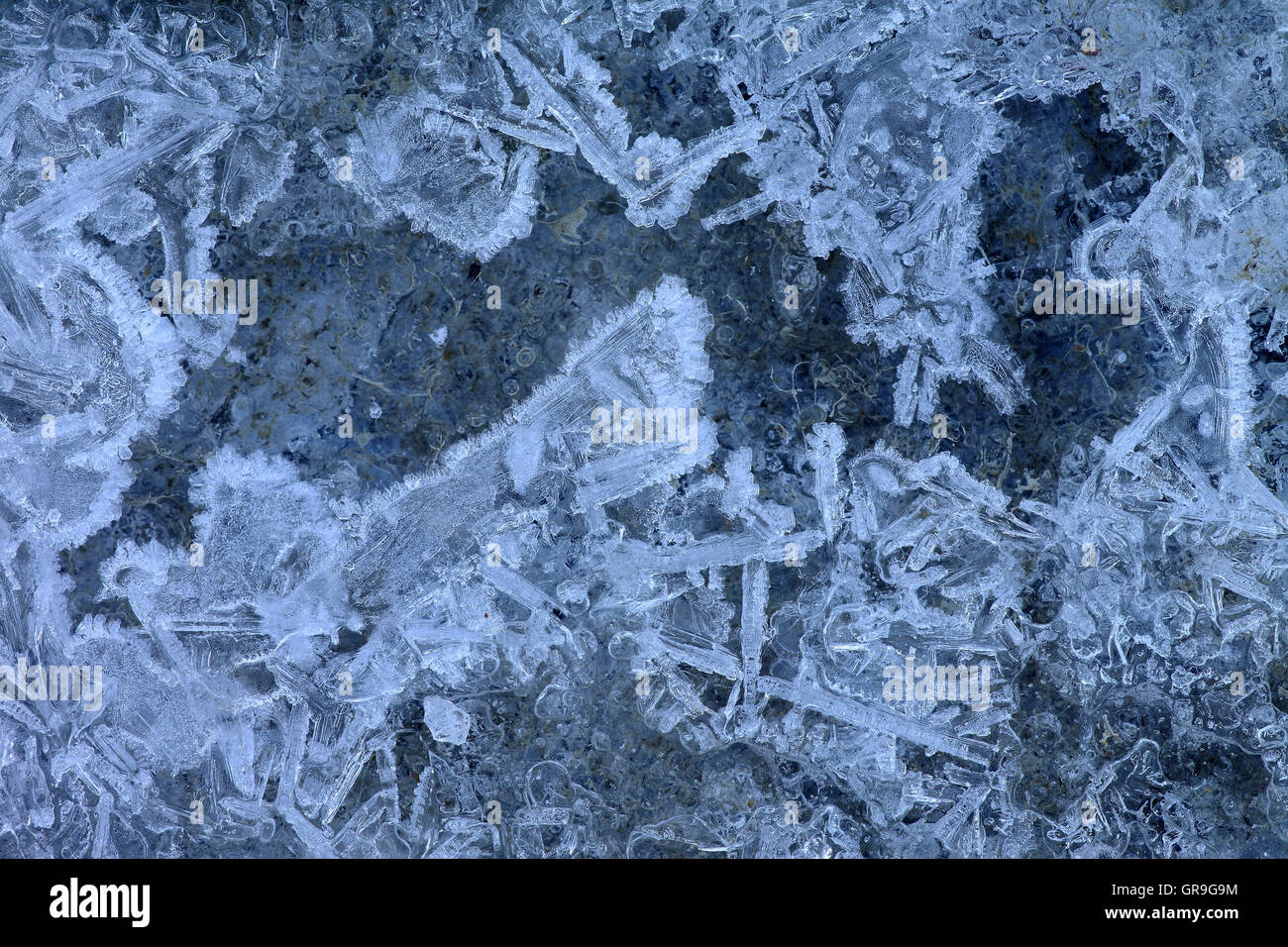 Short lived and short lived hires stock photography and images Alamy